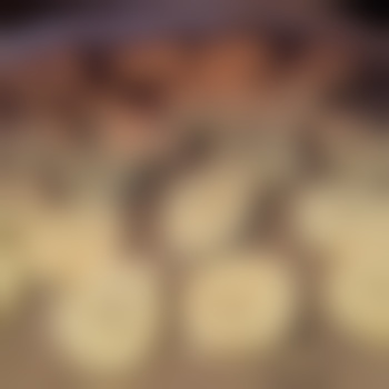 HairyNympho69