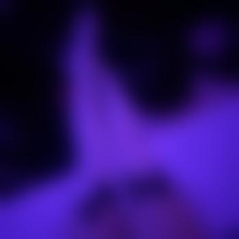 lavendermoonspell444