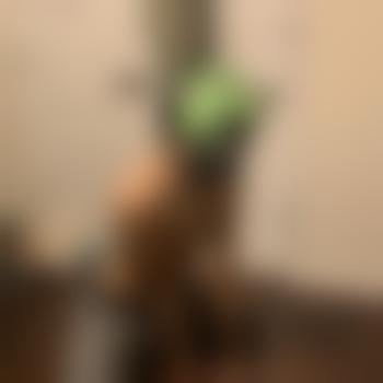 BigGreenDog