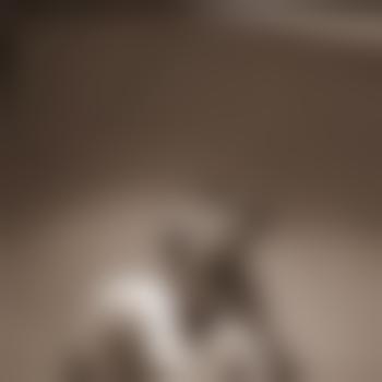 D-S94