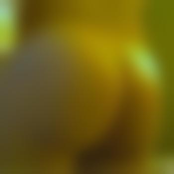 boy_toy_4use