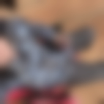 Juliodagooner