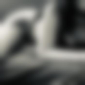Fee_C