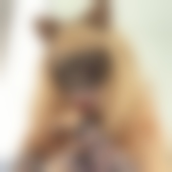 Chastity_Pup_Gabbia