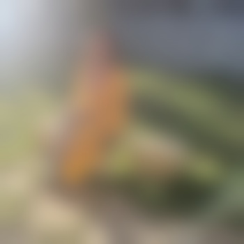 perth65559