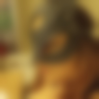 Bdsmsamroy2969