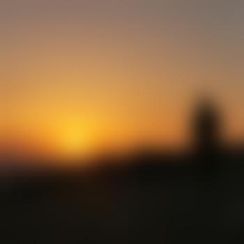 brighton294