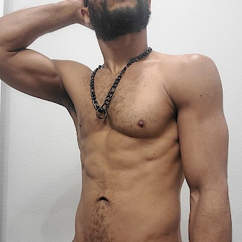 purpledilf84