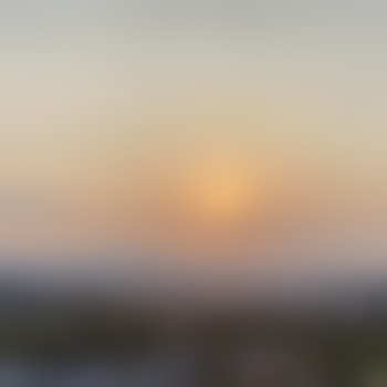 lbm_1