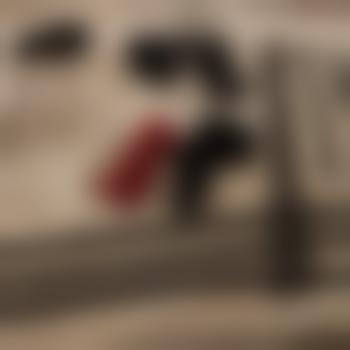 Lupus_Muc