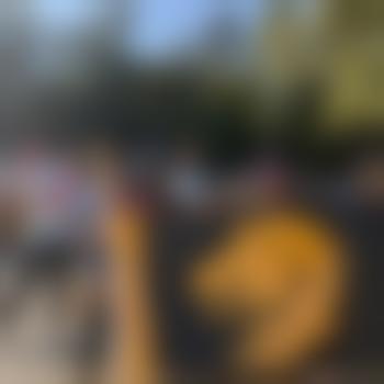 skyfall1235
