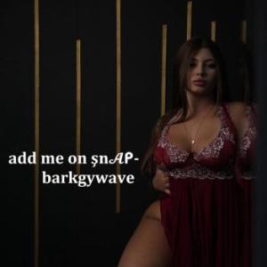 barkgywave-7875