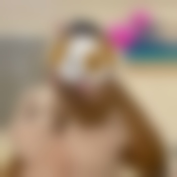 LacePvppy