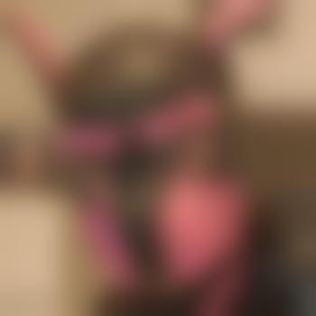 PervTransWindDogSkla