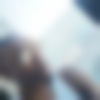 bigwill6454