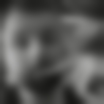 krashke_1995