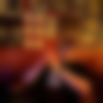 thedongdotcom