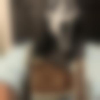Dom_D