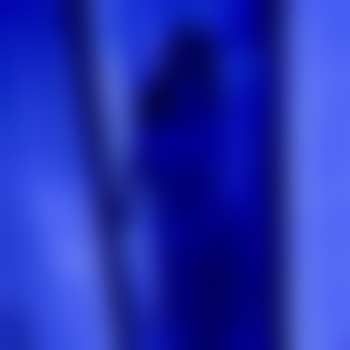 Vivine_Noir