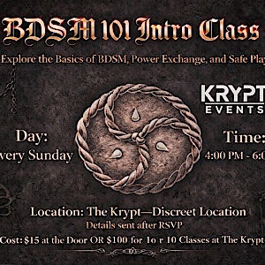 BDSM 101