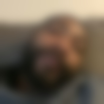 HiiMOTHY