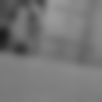Mainebi69