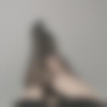 Rina801