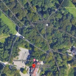 Im Wald ist alles möglich ........