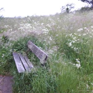 Parkplatz Hüsby,  A7, Fahrtrichtung Süd,