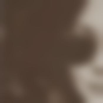 Honeypotttt