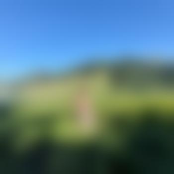 eyeinthesky