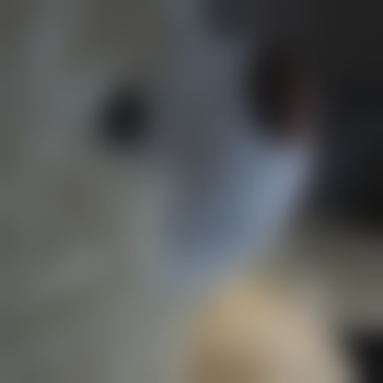 AnnoyingTwitch