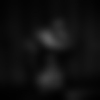 dvlms
