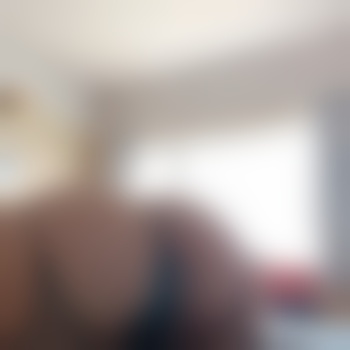 TransBear-