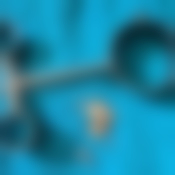 LockedGavin