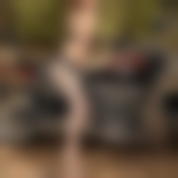 XSexyBunny