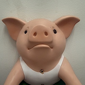 Hotwifebull5185