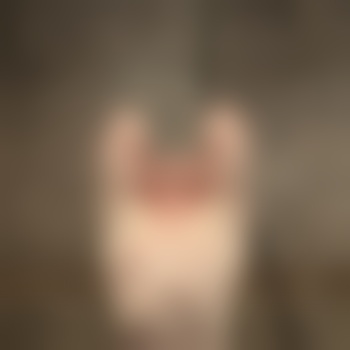 stevenj07