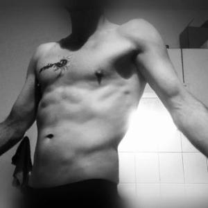 Pantha_wittstock