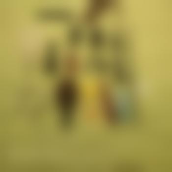 PervTransWindDogSkla