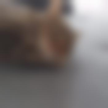 Murxel1120
