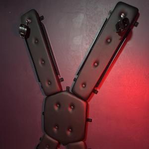 The Whip and Whisper