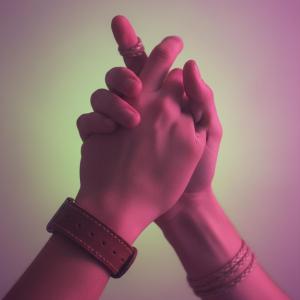 Dominante, Devote & Switches