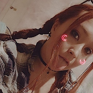 Spadexkitten