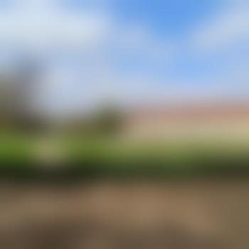 Sub007-MissGnadenlos