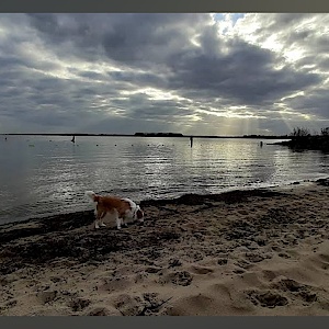 Zilverstrand Almere