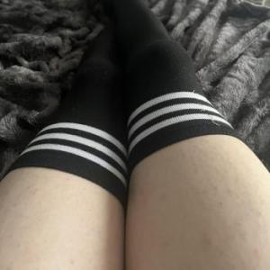 RexyBoy