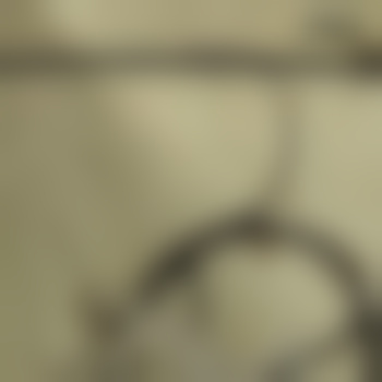 TimtheMerciless