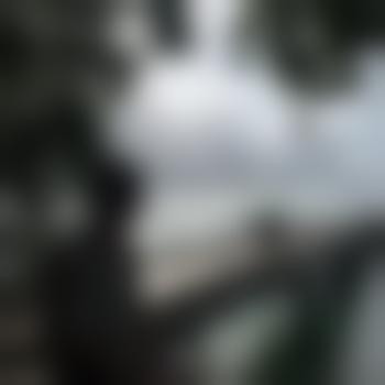 Deekimu