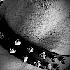 Salacious67